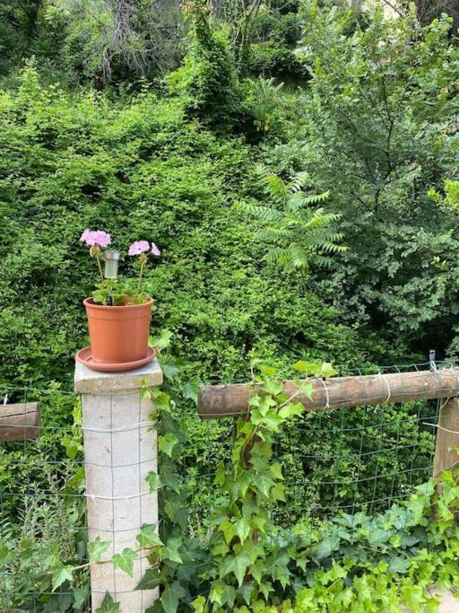 Villa Serenice - F2 Au Calme, Climatise, Wifi Et Parking Gratuit Bagian luar foto